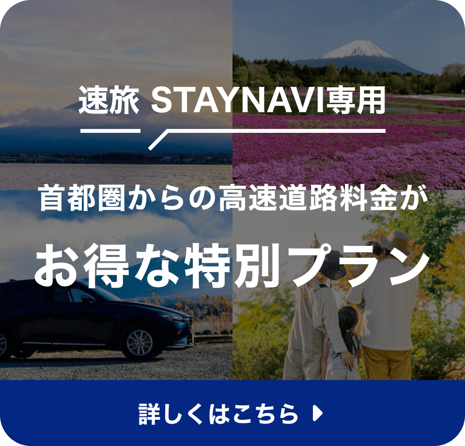 STAYNAVI
